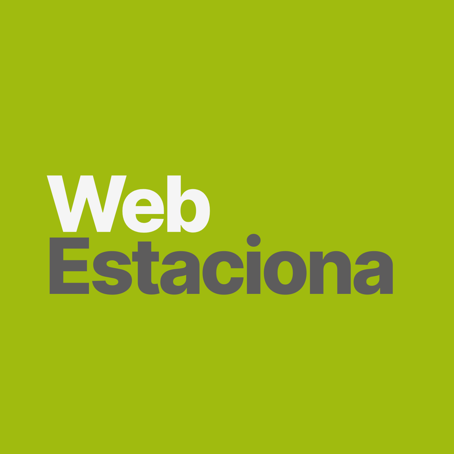 Screenshot da tela inicial do sistema Web Estaciona